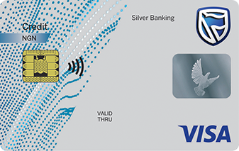 Visa Silver Card Banner