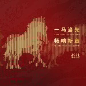 CNY2026_14Dimensions