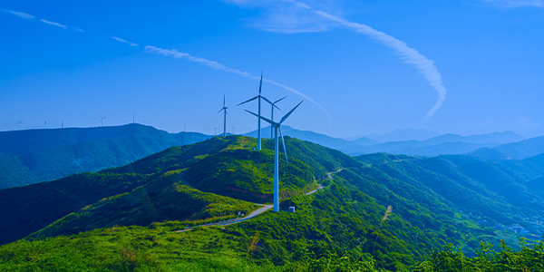 Sustainability banner image