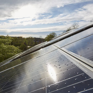 Driving growth through ESG