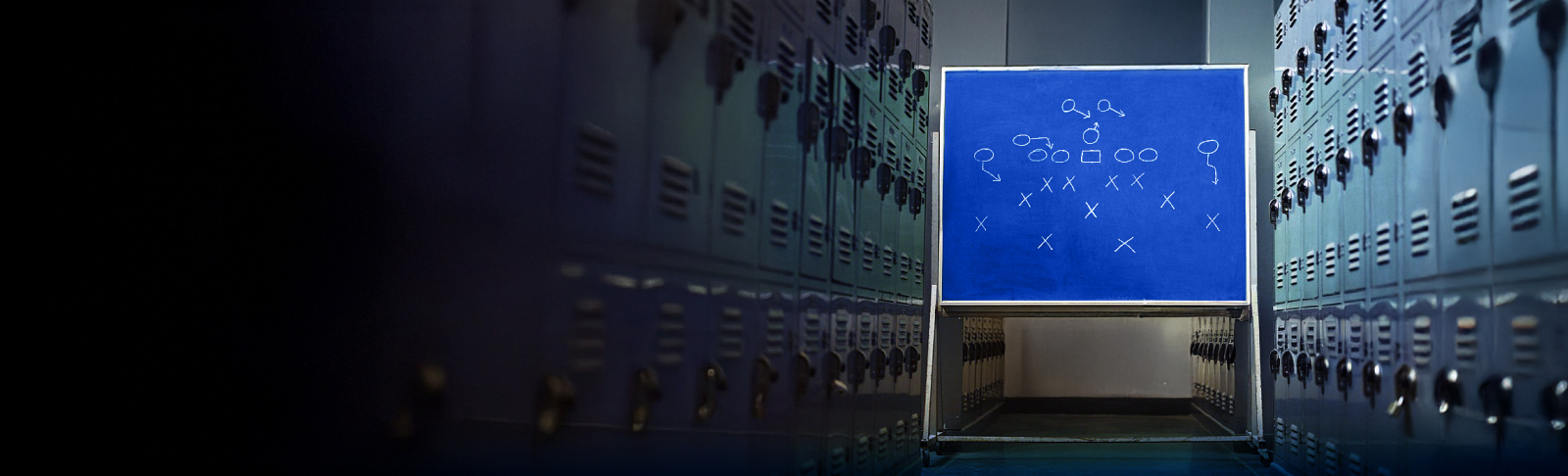 SB_SchoolFestivals_BannerMidPageImageFull