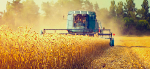 Harvest image