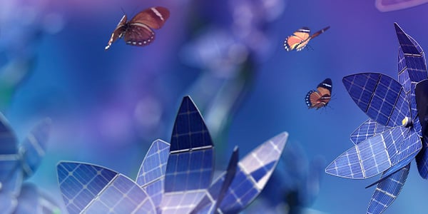 sustainability